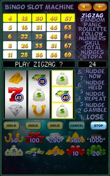 Bingo Slot Machine. screenshot 2