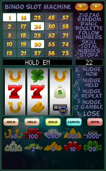 Bingo Slot Machine. screenshot 5