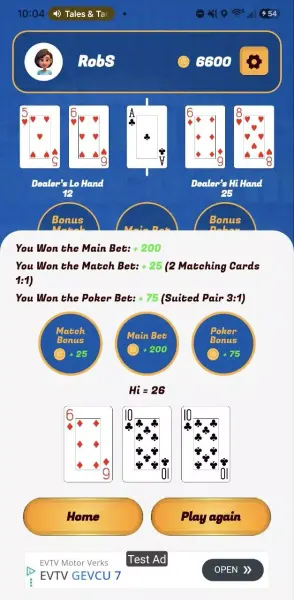Match'em Hi-Lo screenshot 5