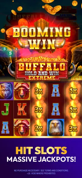 Sweeps Night Social Casino screenshot 2