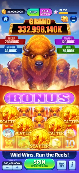 Vegas Frenzy screenshot 6