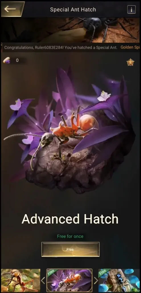 The Ants Advanced Hatch