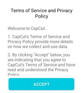 CapCut Accept Terms